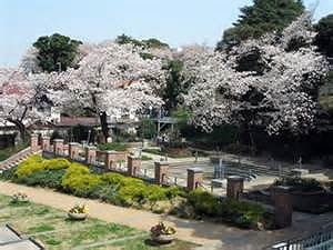グリフィン横浜・山下町 周辺画像5