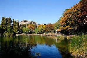 見次公園 コスモ板橋前野町ヒルズ 周辺画像4