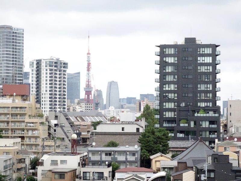 ﾊﾟｰｸｳｪﾙ高輪 その他14