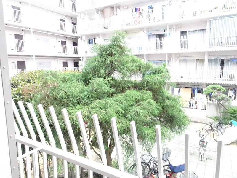 ｶｰｻ大森 その他3