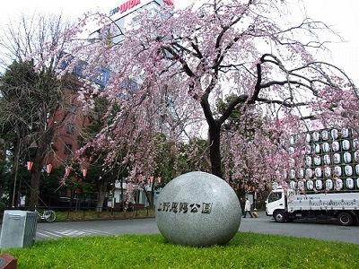 ｴｸｾﾘｱ文京池之端  周辺画像3
