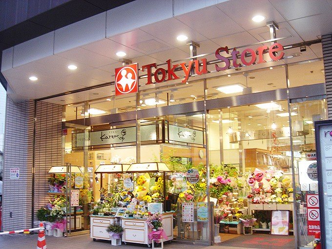 ｺﾝｼｪﾘｱ大崎TOKYO PREMIUM 周辺画像2