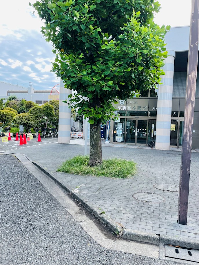 大田区南雪谷5丁目19-11戸建 周辺画像3