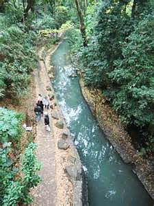 等々力渓谷公園 ラピス等々力 周辺画像4