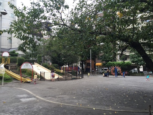 綱代公園 OLIO麻布十番 周辺画像8