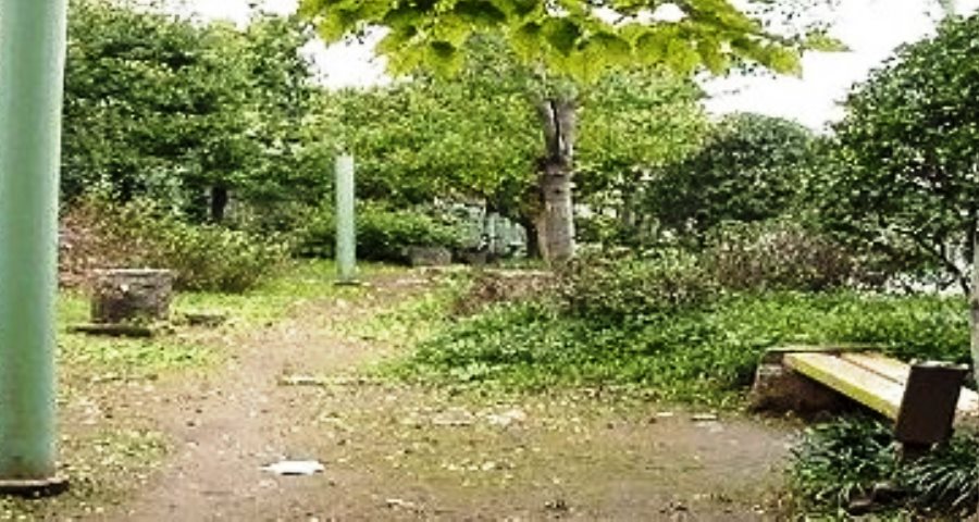 リュゼ桜上水 周辺画像6