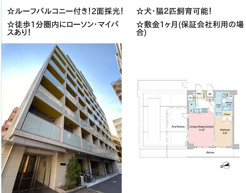 プライマル大森 901号室 間取り