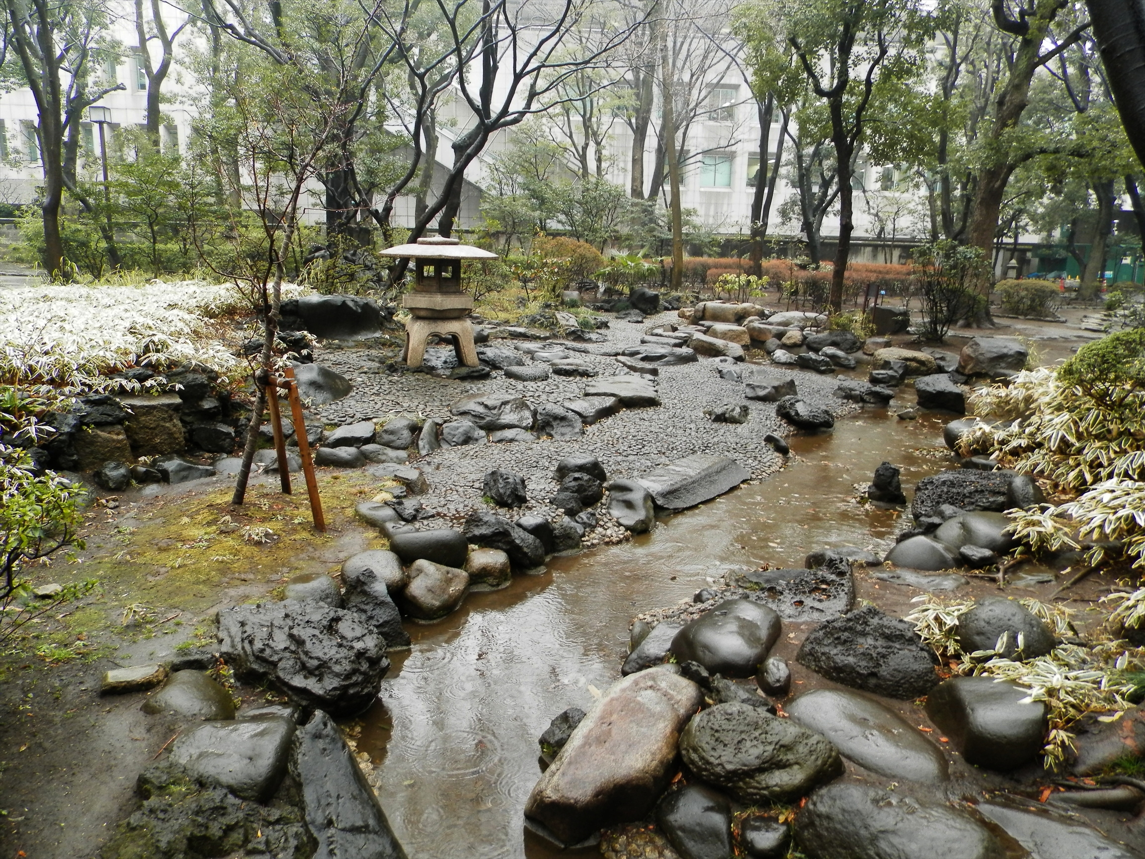 青山第一マンションズ 周辺画像6
