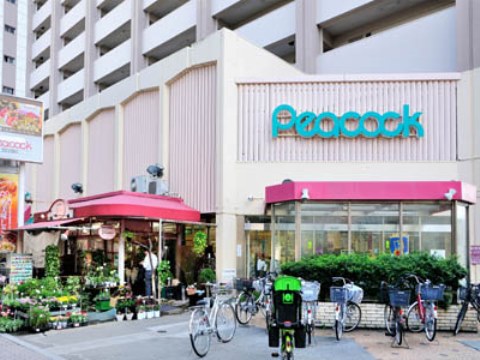 フィユ・ドール目白 周辺画像2