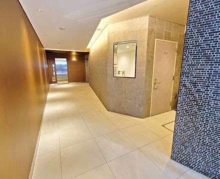 ドミール入谷 風呂画像