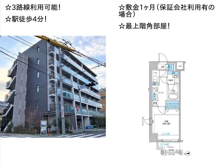 フレンシアノイエ成増 601号室 間取り