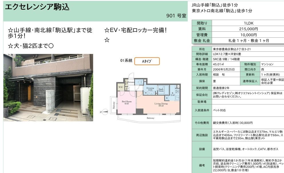 エクセレンシア駒込 901号室 間取り