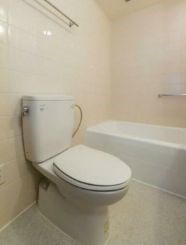 麻布テラスアパートメント その他3