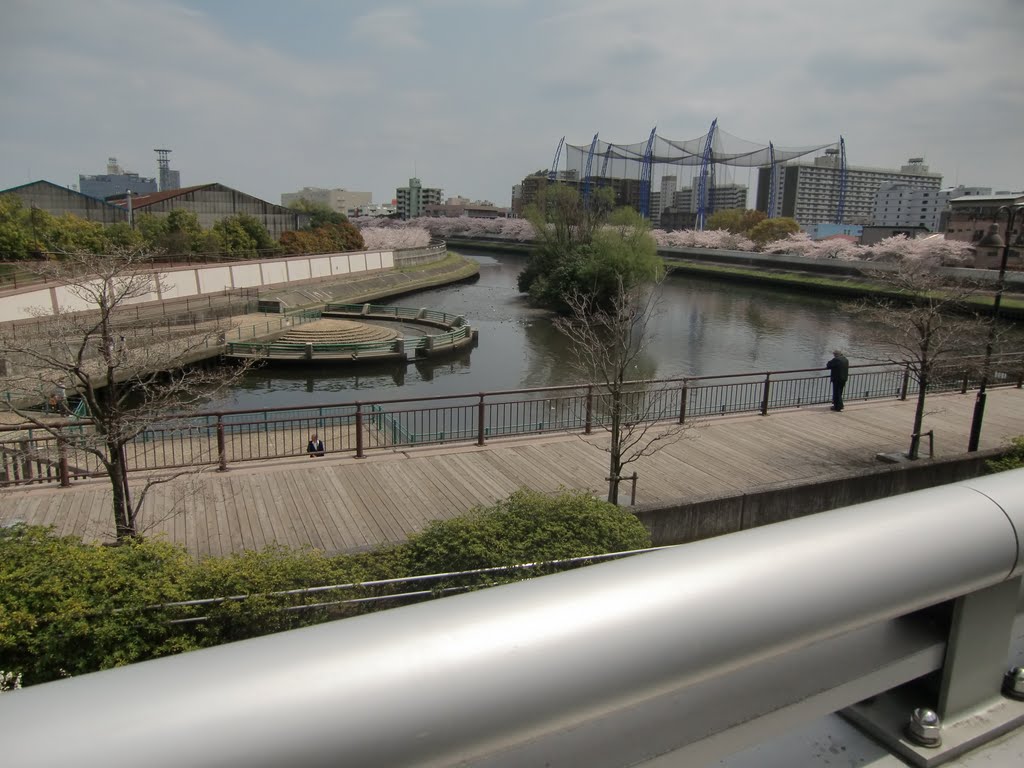 クレジデンス西台EAST 周辺画像6
