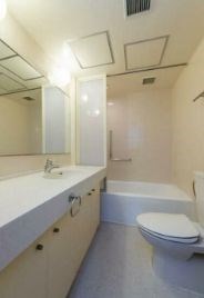 麻布テラスアパートメント その他4