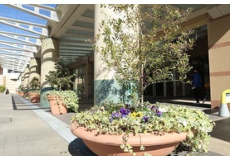 河田町ガーデンクラブフロア 玄関