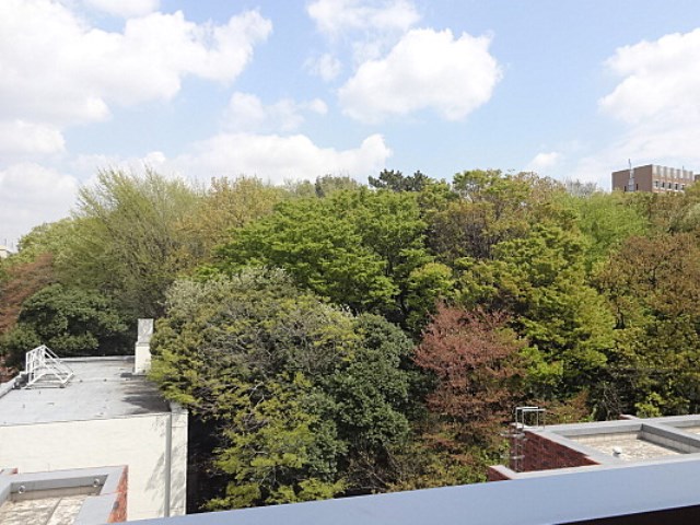 目白ガーデンヒルズ その他6