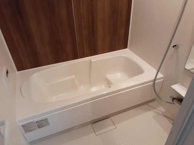 アヴニール　ラディユ　Ⅱ 風呂画像