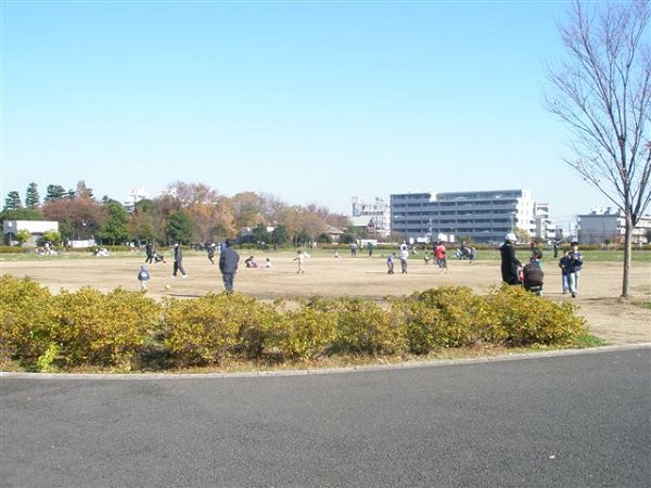 その他8