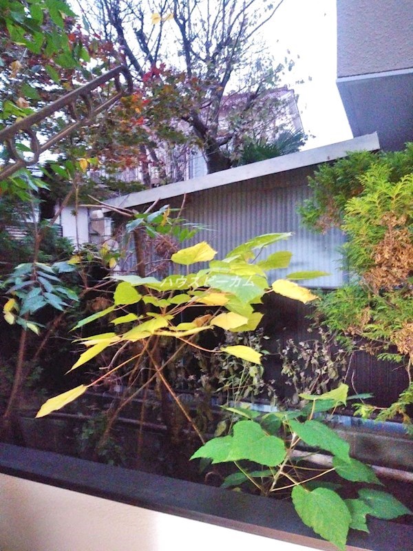 その他6