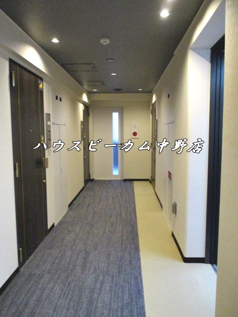 その他11