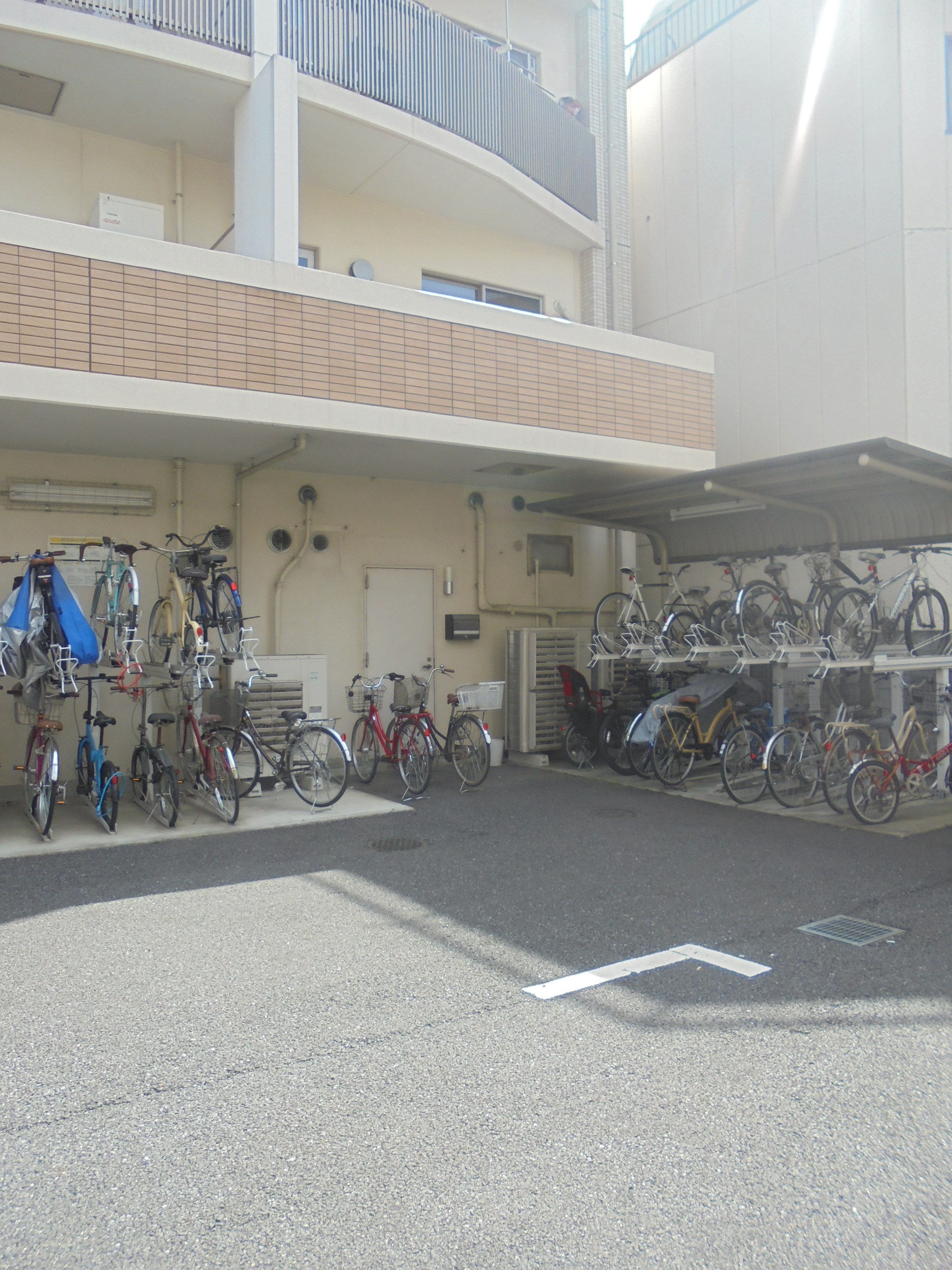 その他11