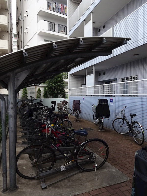 その他11