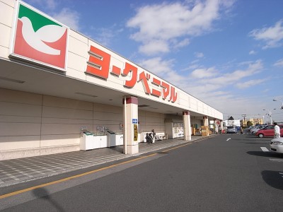 アルトカッシーナ スーパー