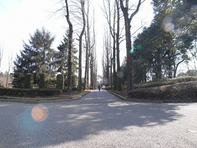 シティハイム 公園