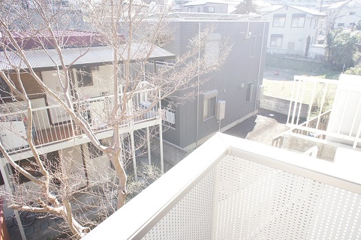 カスタニアン その他33