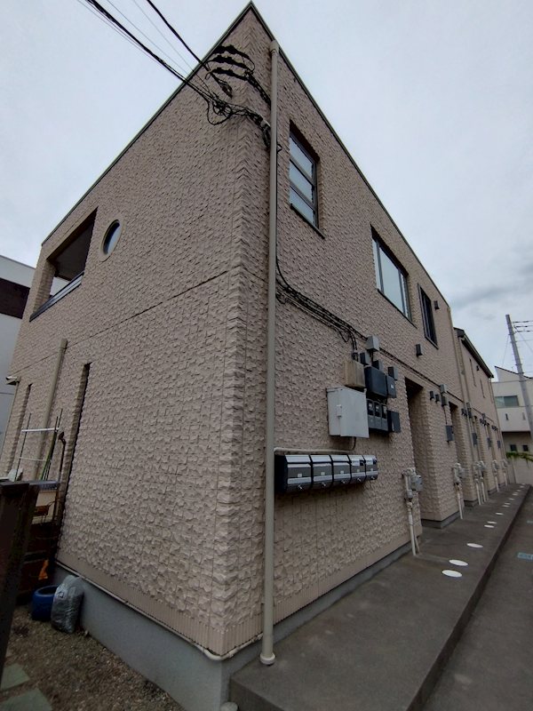 Apricot Avenue その他