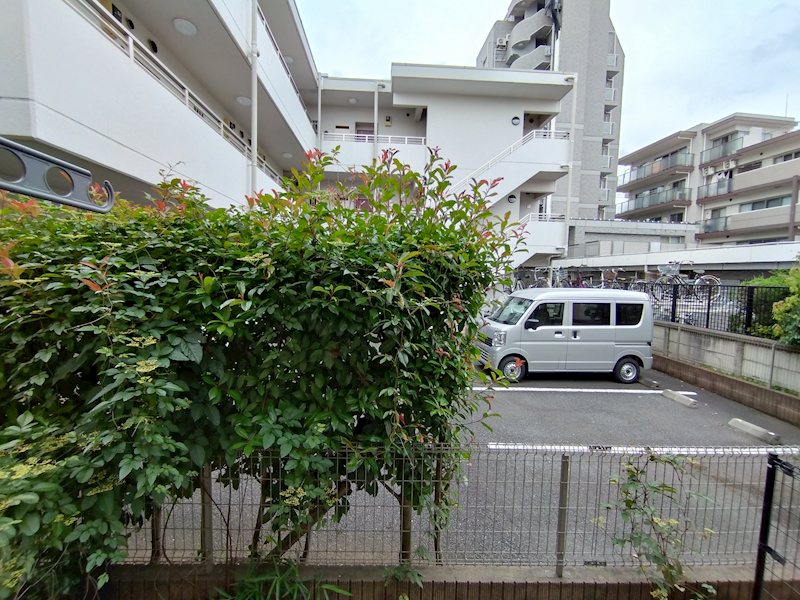 Apricot Avenue 眺望
