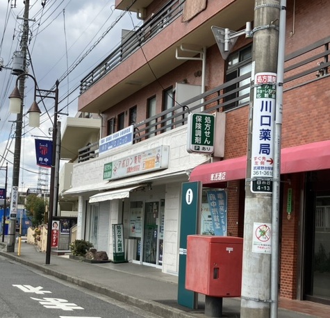 ビューパビヨン ドラッグストア