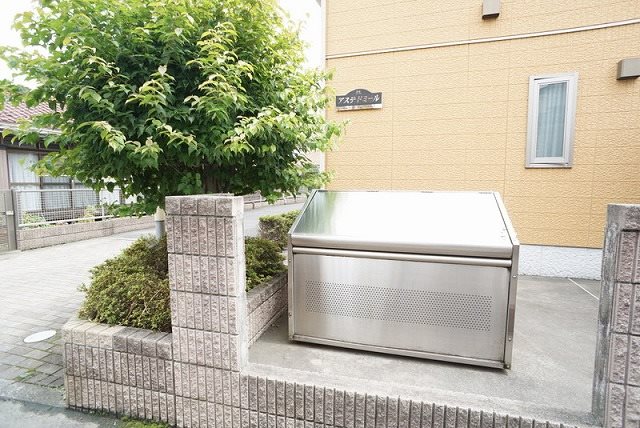 アステドミール その他
