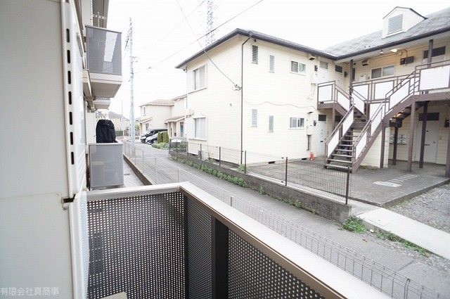 アステドミール その他