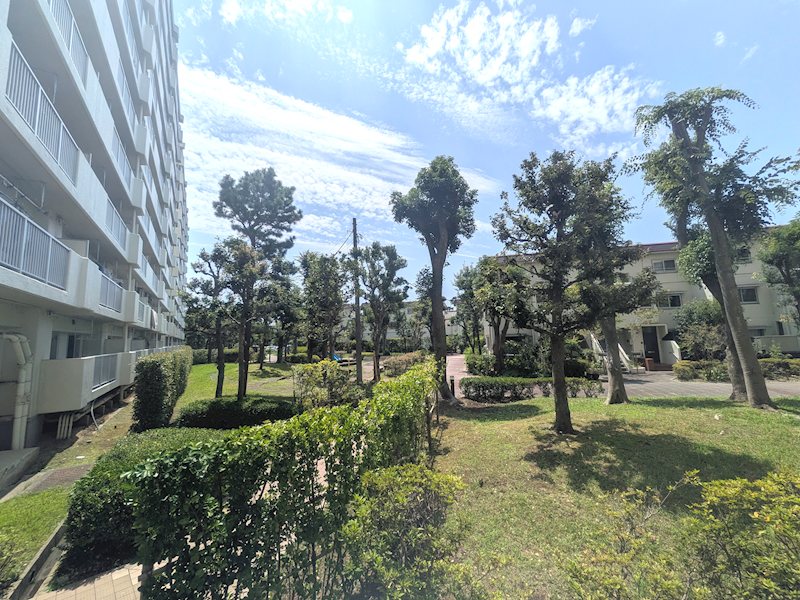 入船西エステート1号棟 眺望