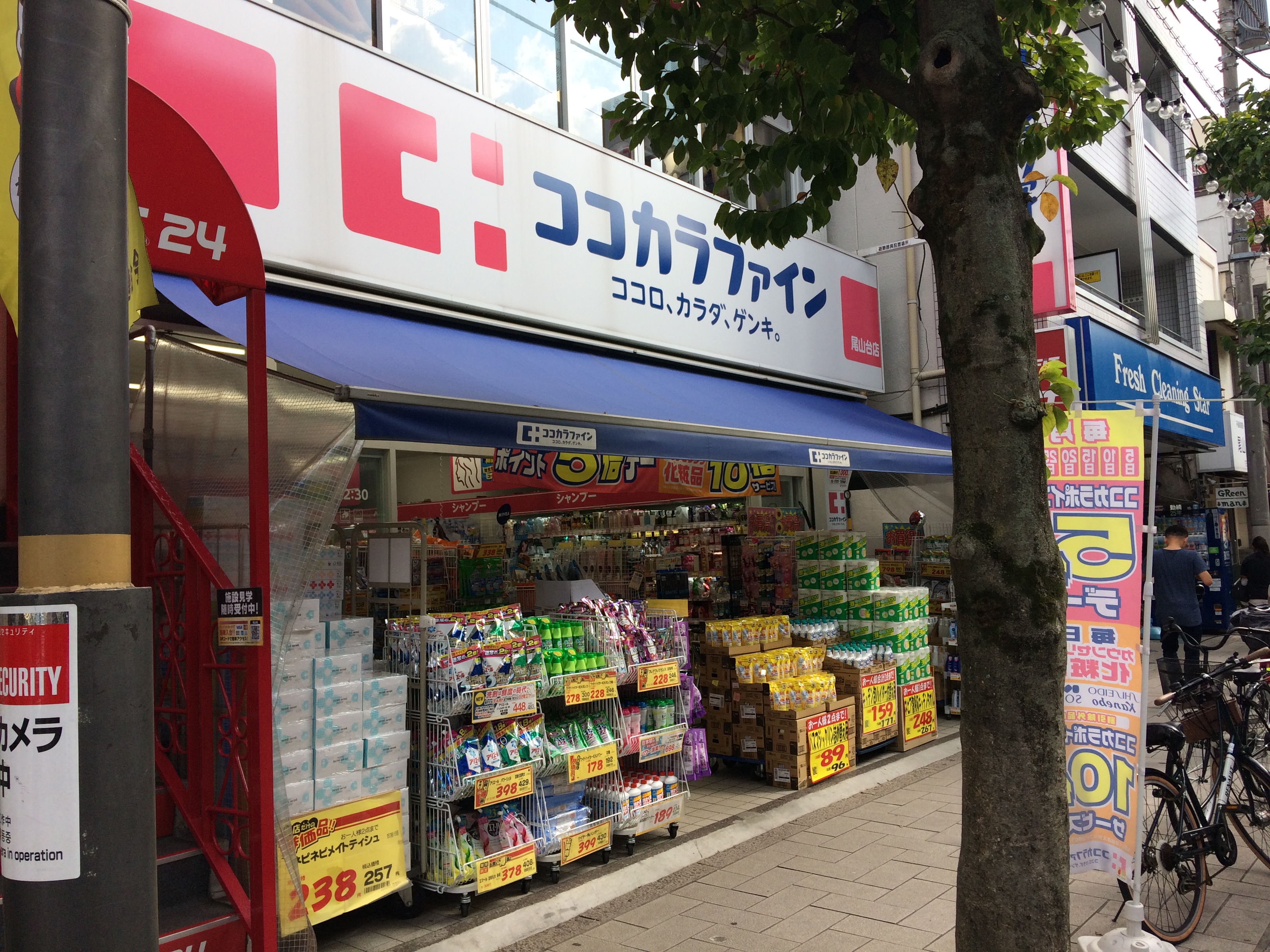 パインクレスト 周辺画像5