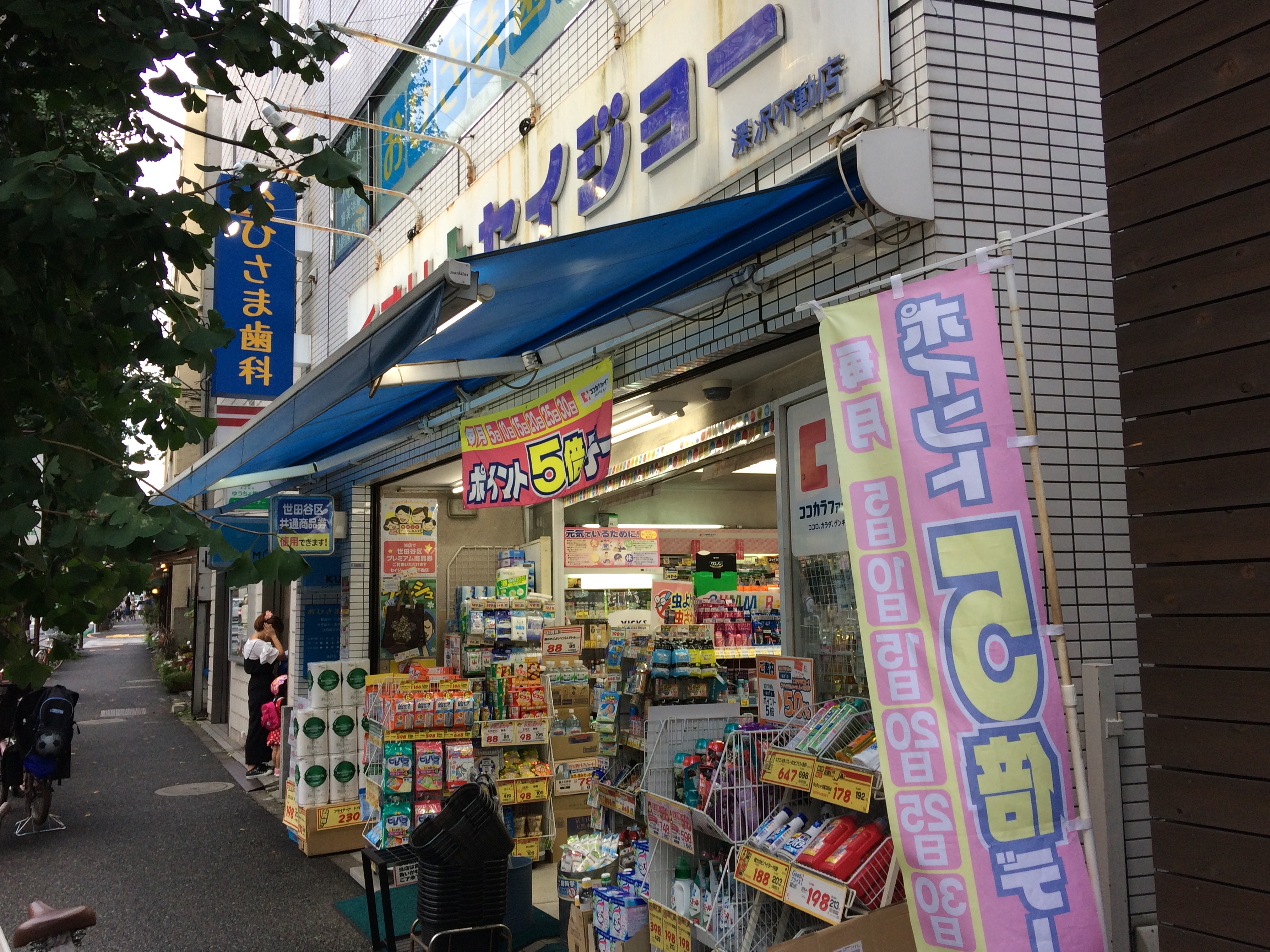 グリーンヴィラ駒沢 ドラッグストア