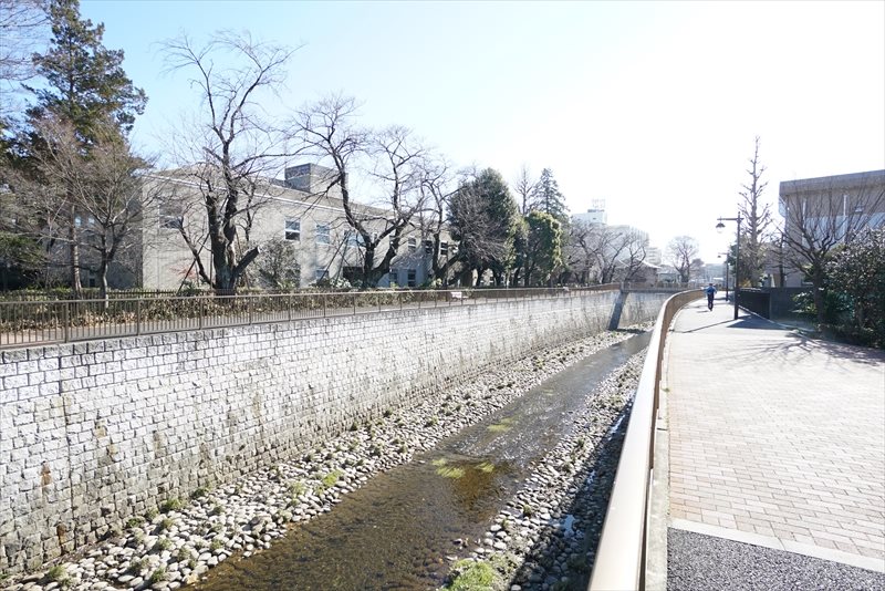 アベティーナ方南町 その他