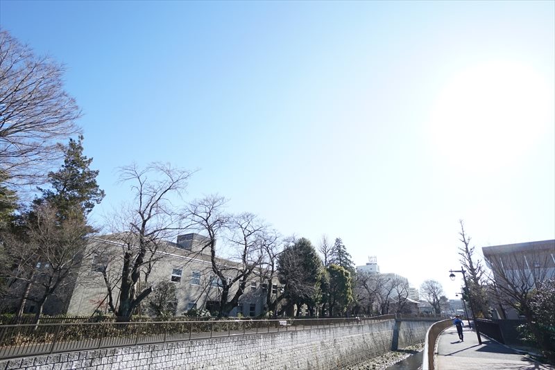 アベティーナ方南町 眺望