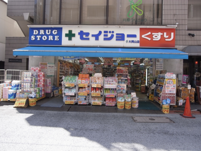 アピチェ洗足 ドラッグストア