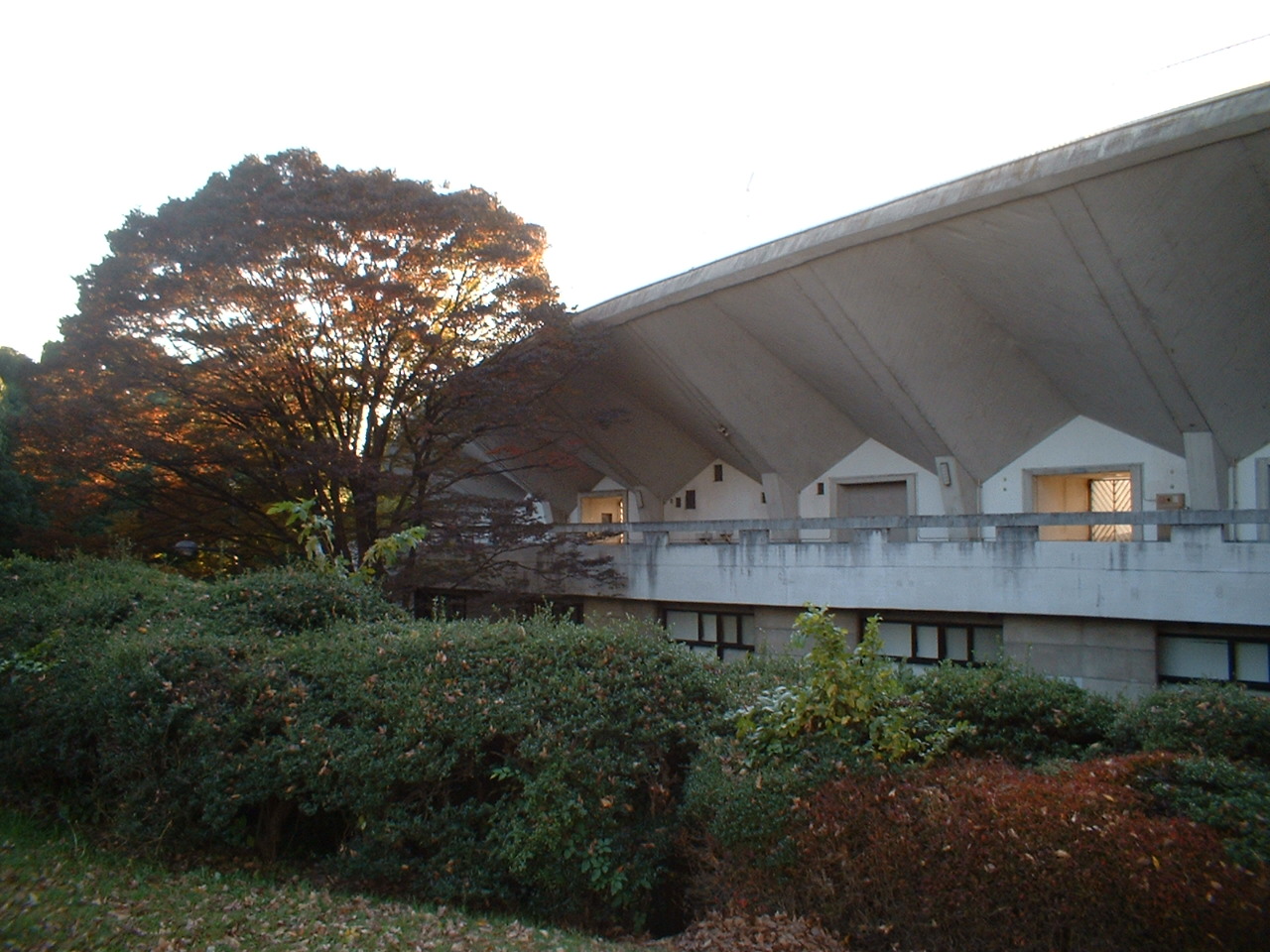 コートバリア 公園