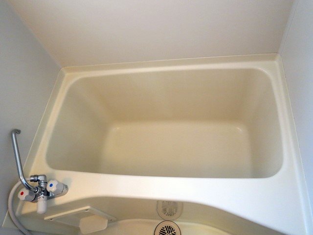 ジ・エレガンス その他23