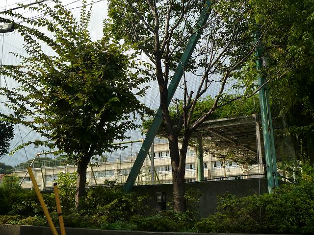 緑荘 周辺画像6