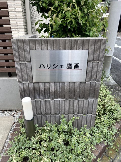 ハリジェ鷹番 その他外観3