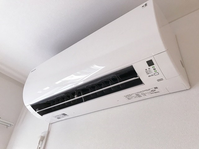 Pallishree（パリシュリ） その他5