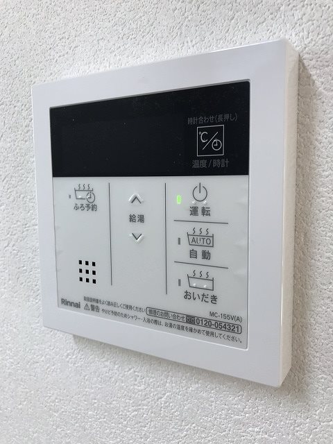 Pallishree（パリシュリ） その他9