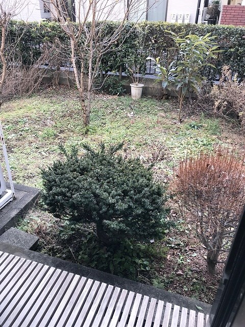 野沢パークハイツ その他8