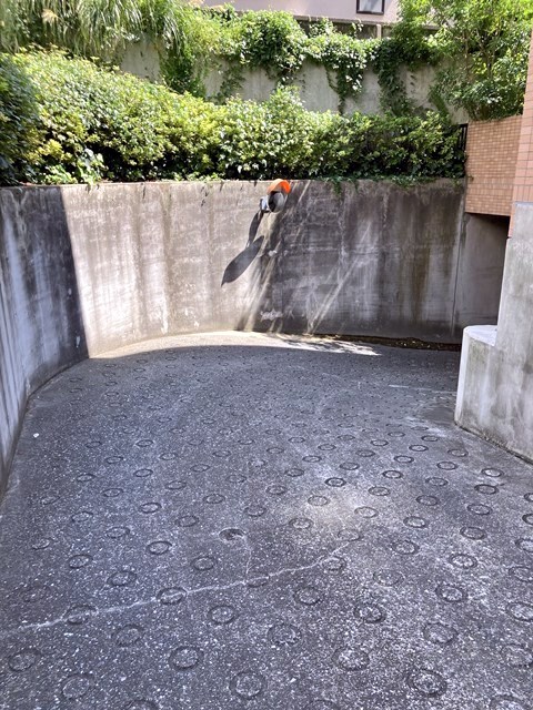 セントヒルズ学芸大学駐車場 その他外観3