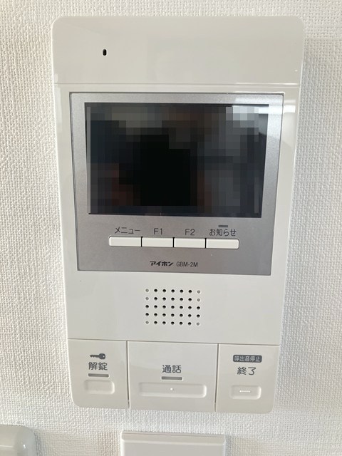 ルポ・ルアナ その他2